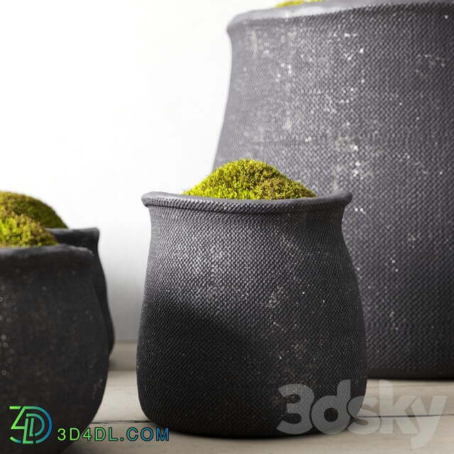 Crosshatch concrete vessel collection with moss