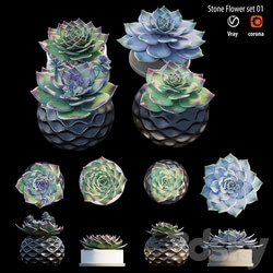 Stone flower set 01 