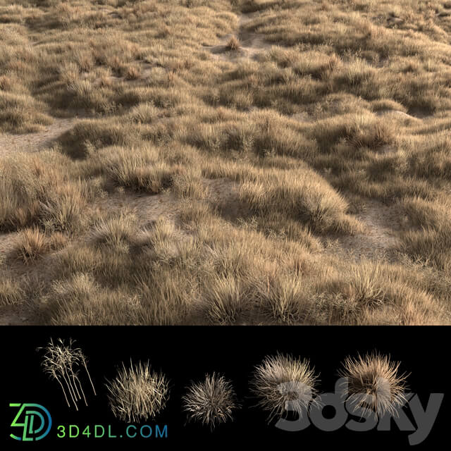 Dried grass