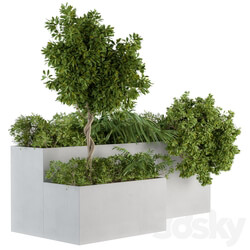 outdoor Plants Concrete Box Set 45 