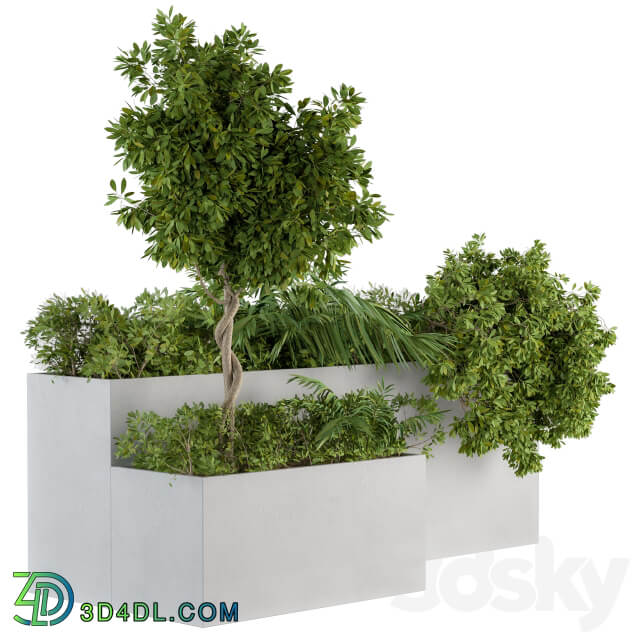 outdoor Plants Concrete Box Set 45