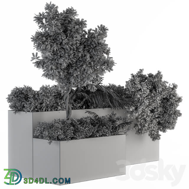 outdoor Plants Concrete Box Set 45