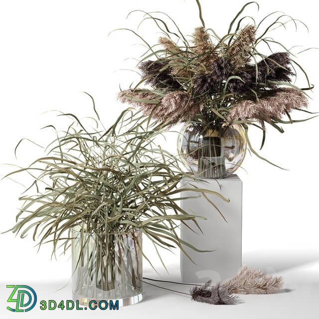 Dry herb bouquets in glass vases