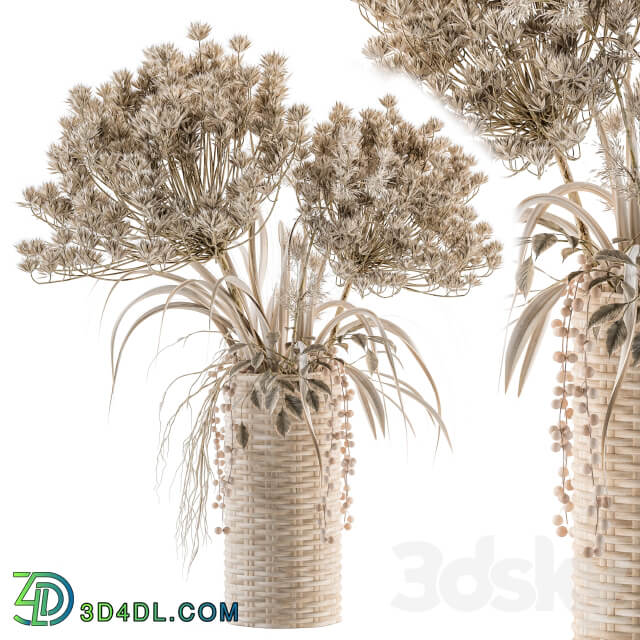 Dry plants 22 dried Bouquet in Wicker Basket Vase