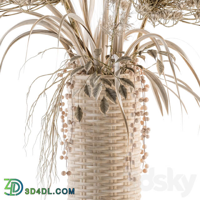 Dry plants 22 dried Bouquet in Wicker Basket Vase