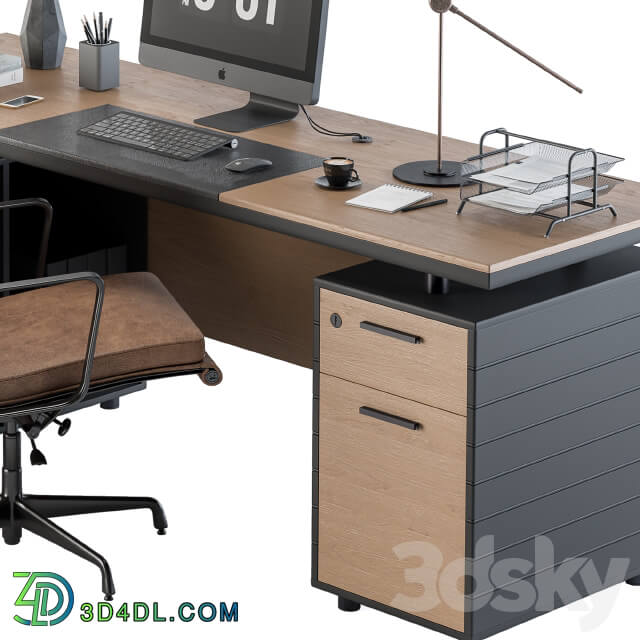 Office Furniture Manager Set 06