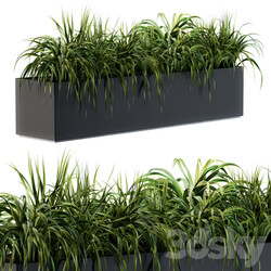 Ranch Grass plants in box Outdoor Set 63 