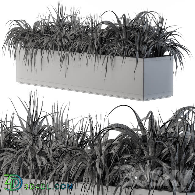 Ranch Grass plants in box Outdoor Set 63