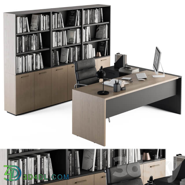 Office Furniture Manager Set 09