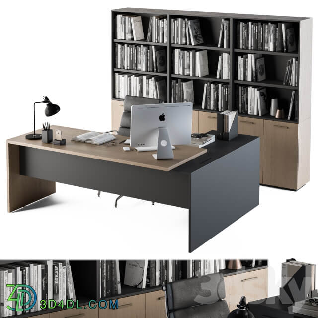 Office Furniture Manager Set 09
