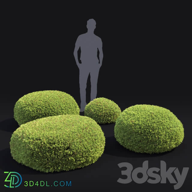 Juniperus Globe 3D Models