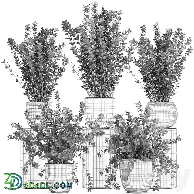 Plant collection 698. Barberry bushes garden landscaping outdoor flowerpot autumn dried flower natural decor 3D Models