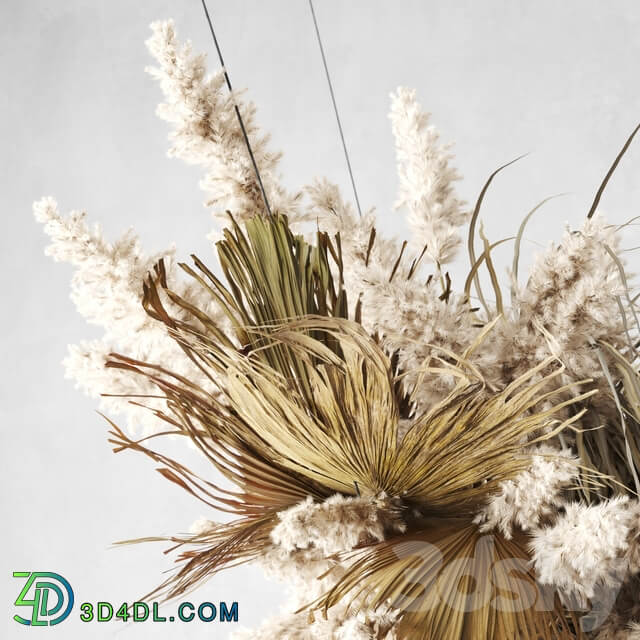 Pendant decor of Pampas grass and dried palm leaves