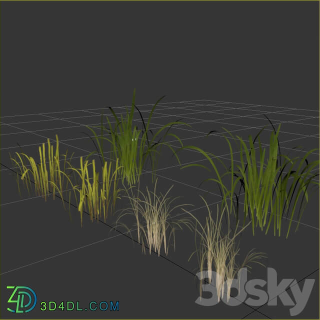 Uncut forest grass collection 03
