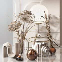 Decorative Set 04 with Carex Riparia and graceful Heracleum 