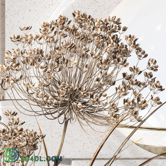 Decorative Set 04 with Carex Riparia and graceful Heracleum