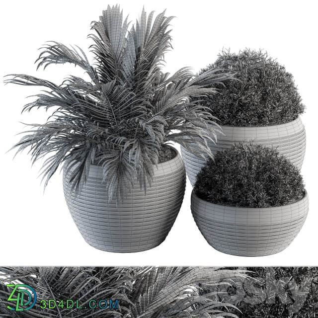 Outdoor Plants tree in Concrete Pot Set 104