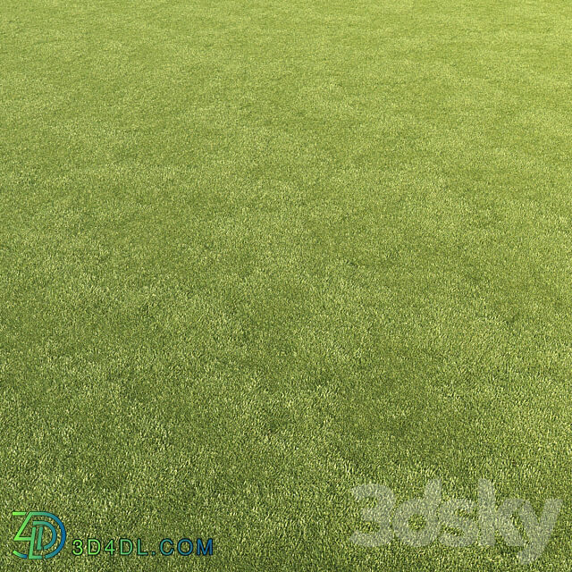Lawn grass 3D Models