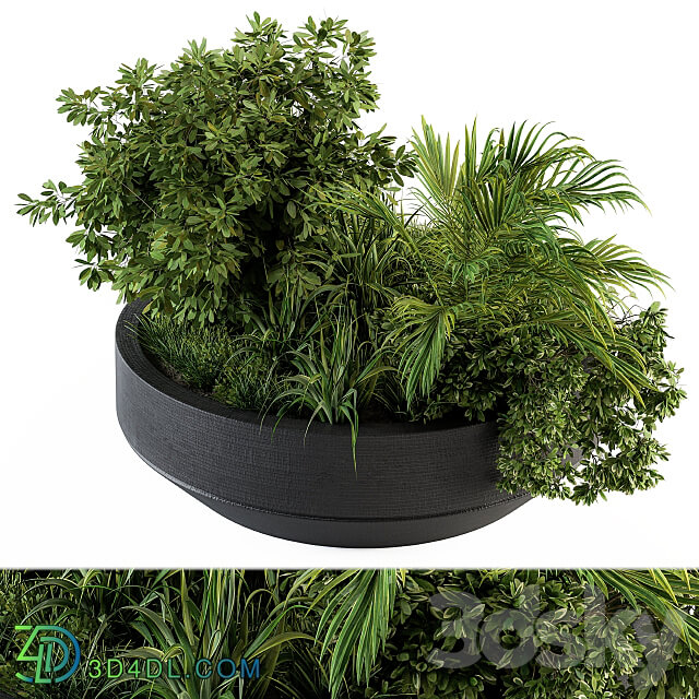 Outdoor Plants tree in Concrete Pot Set 144