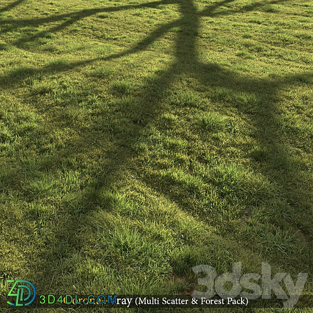 Grass landscape