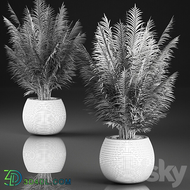 Plant collection 828. Palm tree basket flowerpot eco design 3D Models