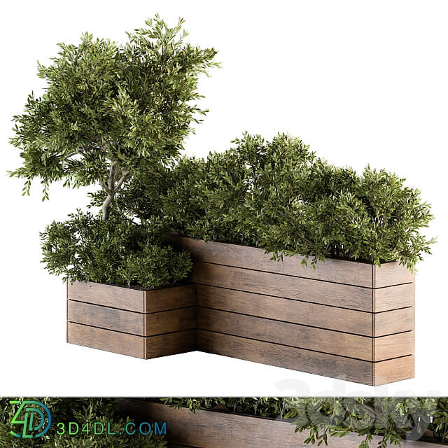 Outdoor Plants tree in Wood Box Set 154