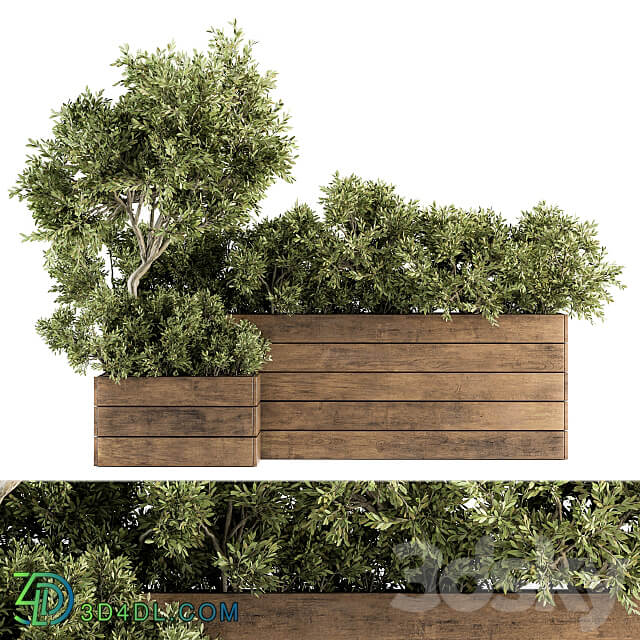 Outdoor Plants tree in Wood Box Set 154