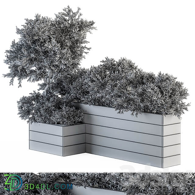 Outdoor Plants tree in Wood Box Set 154