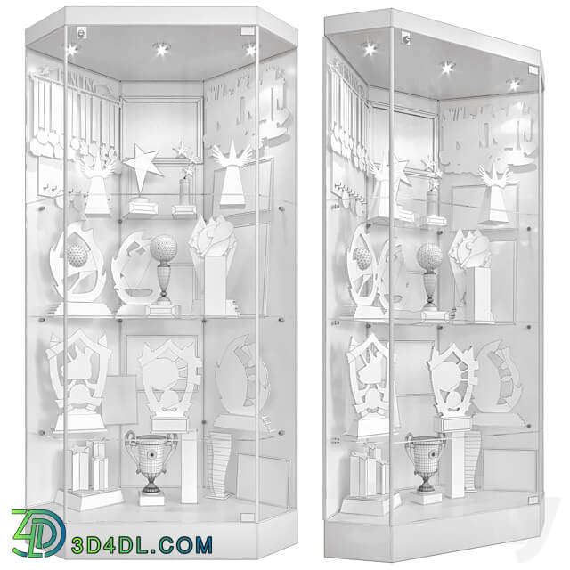 Wardrobe Display cabinets Award cabinet 3
