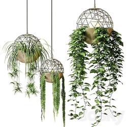 Pendant light Atelier Schroeter luminaires with hanging plants 