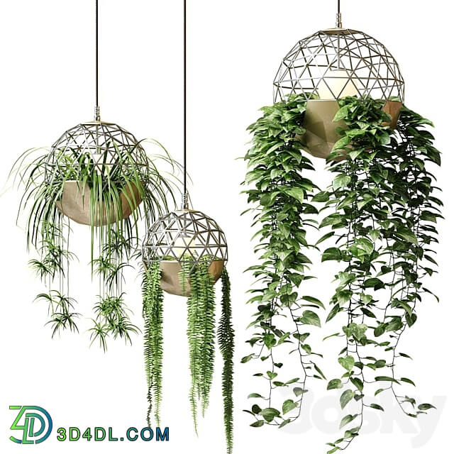 Pendant light Atelier Schroeter luminaires with hanging plants