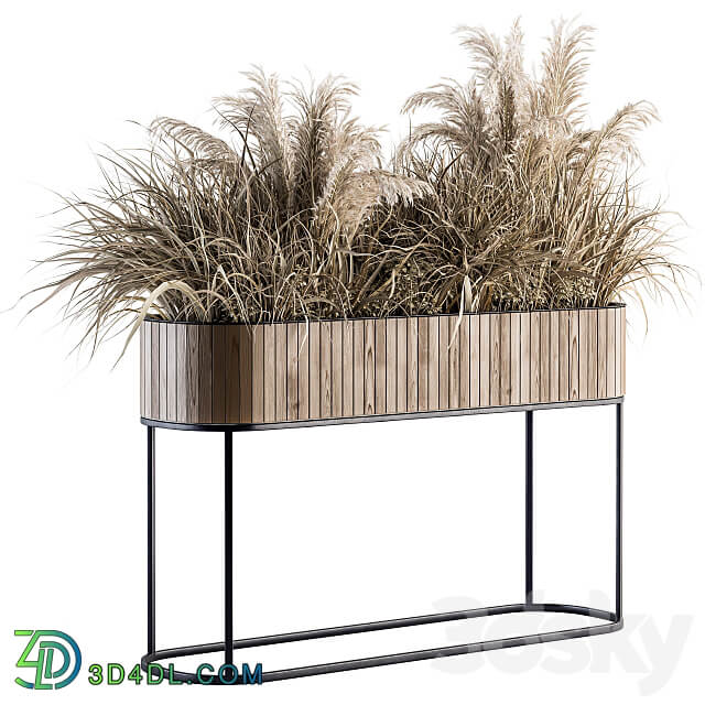 indoor Plant Set 122 Dried Plants in Wood Stand