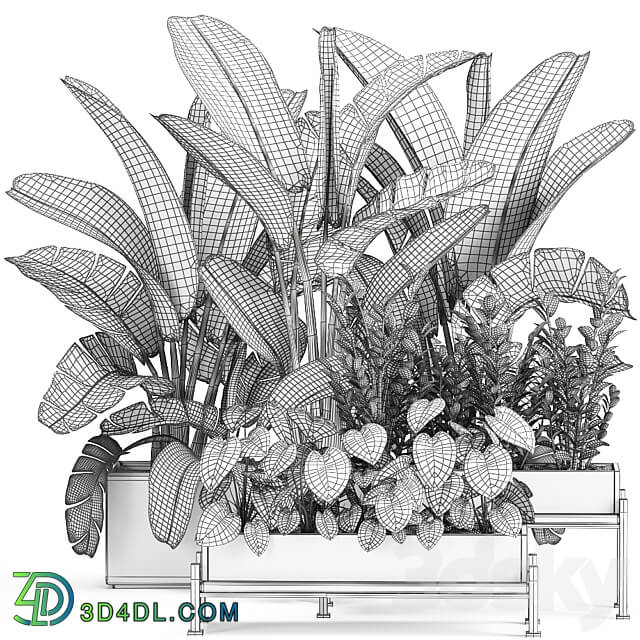 Plant collection 914. Thickets flowerbed Strelitzia banana Zamioculcas bushes flowerbed tropical exotic Philodendron jungle 3D Models