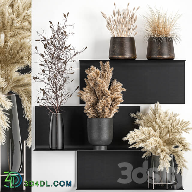 Bouquet 119. Pampas grass branches vase reeds dried flowers metal shelf shelf with flowers bouquets dried flowers dry natural decor eco design loft 3D Models