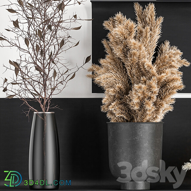 Bouquet 119. Pampas grass branches vase reeds dried flowers metal shelf shelf with flowers bouquets dried flowers dry natural decor eco design loft 3D Models