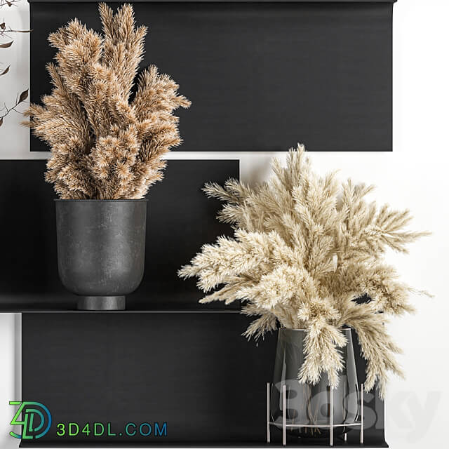 Bouquet 119. Pampas grass branches vase reeds dried flowers metal shelf shelf with flowers bouquets dried flowers dry natural decor eco design loft 3D Models