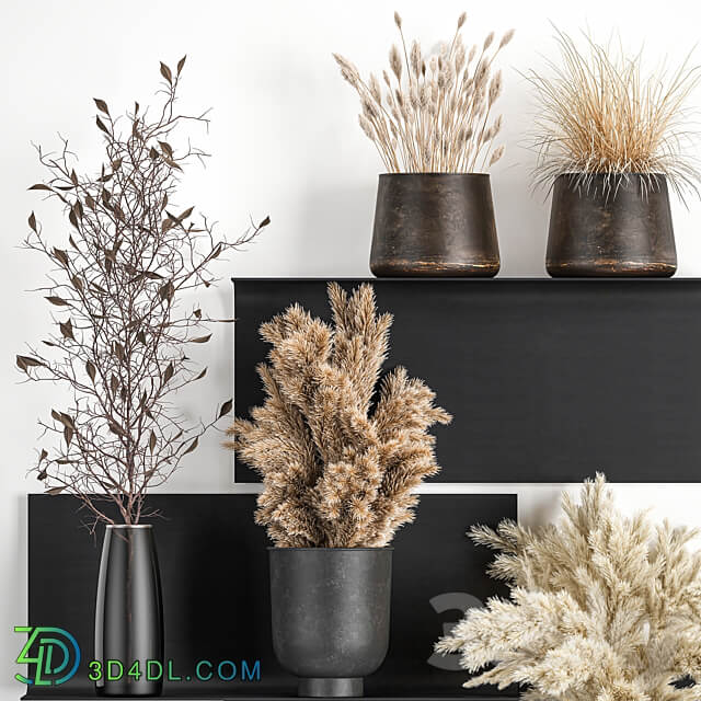 Bouquet 119. Pampas grass branches vase reeds dried flowers metal shelf shelf with flowers bouquets dried flowers dry natural decor eco design loft 3D Models