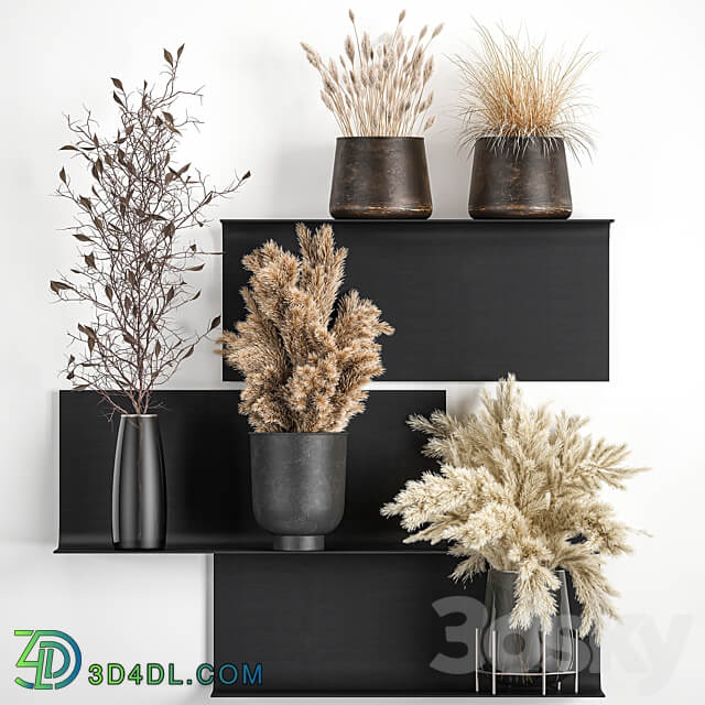 Bouquet 119. Pampas grass branches vase reeds dried flowers metal shelf shelf with flowers bouquets dried flowers dry natural decor eco design loft 3D Models