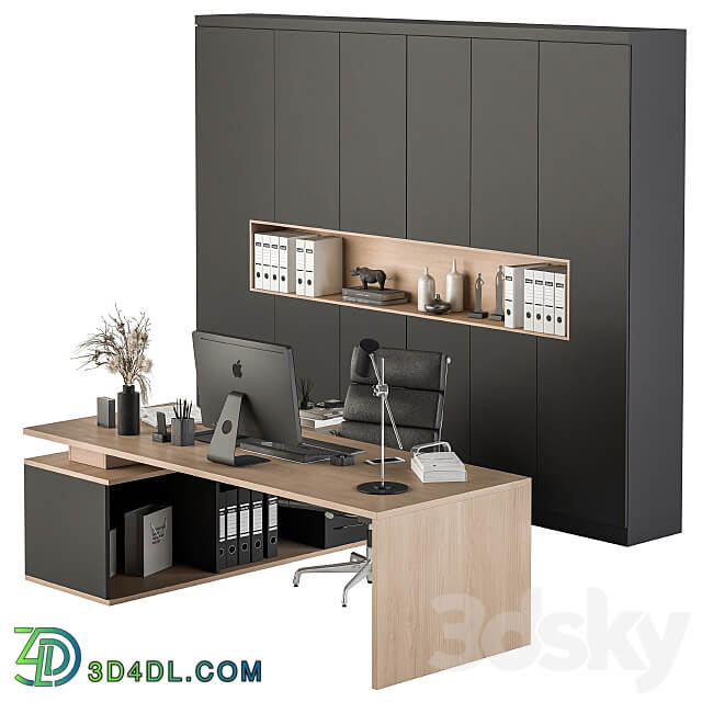 Office Furniture Manager Set 25