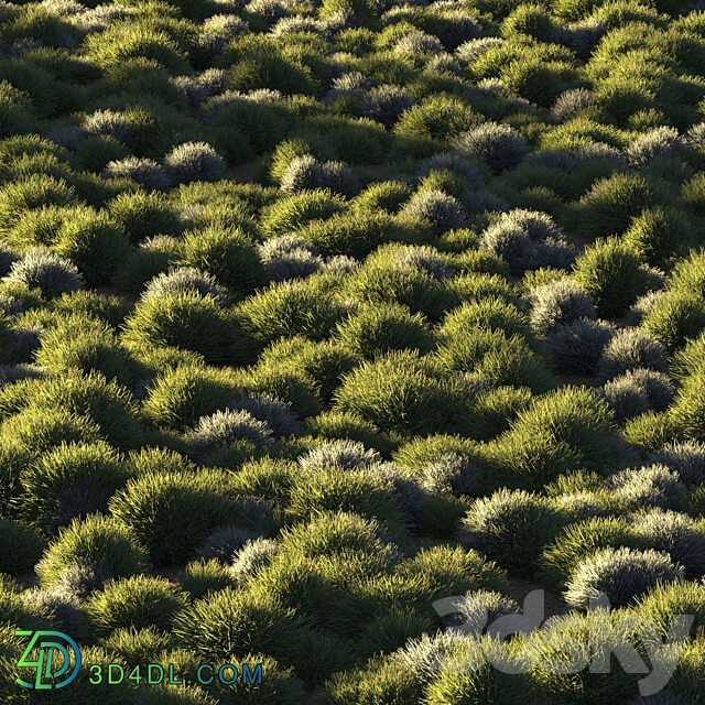 Round grass