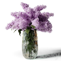 Bouquet of lilacs in a modern tall vase 