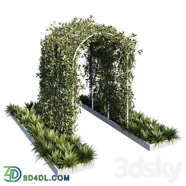 Outdoor Outdoor plants01