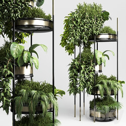 collection Indoor plant plant stairs stand metal vase 10 