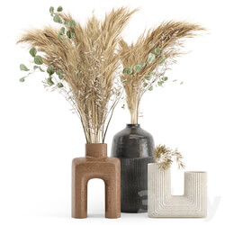 Dry plants 19 Dried Plantset Pampas with Concrete vase 