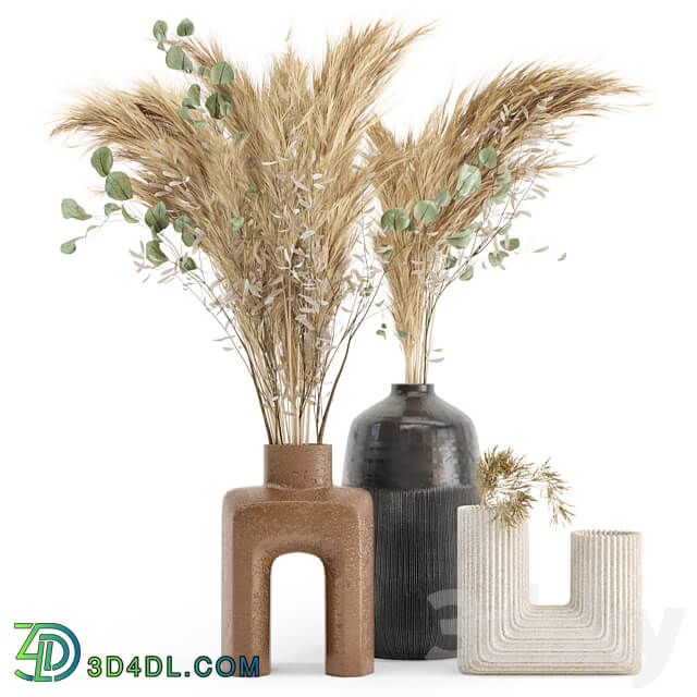 Dry plants 19 Dried Plantset Pampas with Concrete vase