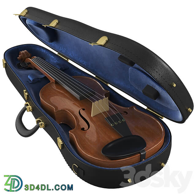 The Violin With Case