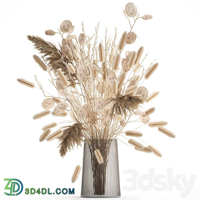 Bouquet 127. bouquet Lunnik Lunaria flowerpot bouquet dried flowers reeds pampas grass 3D Models