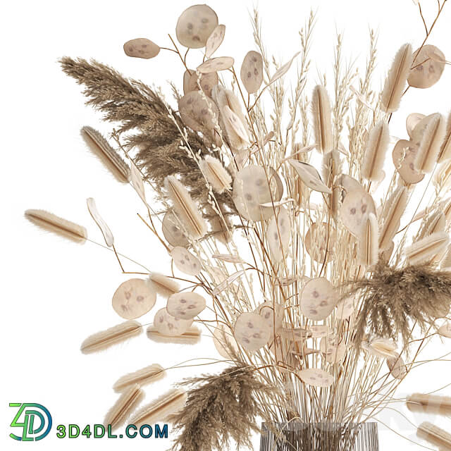 Bouquet 127. bouquet Lunnik Lunaria flowerpot bouquet dried flowers reeds pampas grass 3D Models