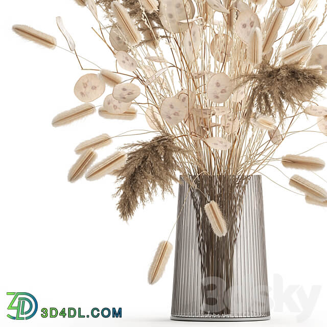 Bouquet 127. bouquet Lunnik Lunaria flowerpot bouquet dried flowers reeds pampas grass 3D Models