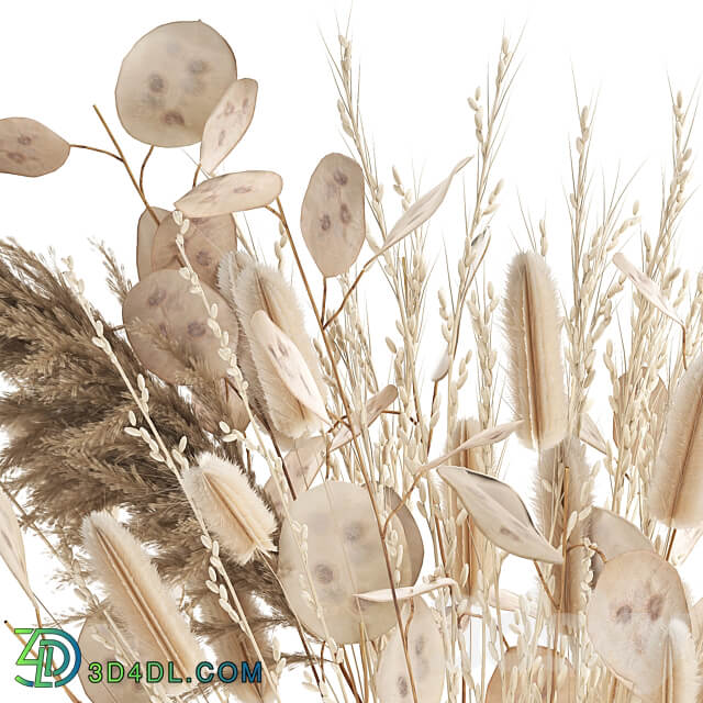 Bouquet 127. bouquet Lunnik Lunaria flowerpot bouquet dried flowers reeds pampas grass 3D Models